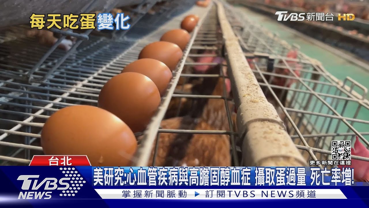 一天吃幾顆雞蛋？　「這類人」應限制蛋攝取量　醫師:避免膽固醇過高
