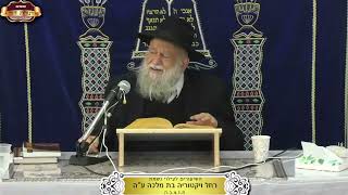 איך השבטים לא קלטו את הרמזים שנתן להם יוסף? ¤ הרב מרדכי דהן ¤ ד' טבת תשפ"ו (24.12.2025) (מוסדות תורת דוד) - התמונה מוצגת ישירות מתוך אתר האינטרנט יוטיוב. זכויות היוצרים בתמונה שייכות ליוצרה. קישור קרדיט למקור התוכן נמצא בתוך דף הסרטון