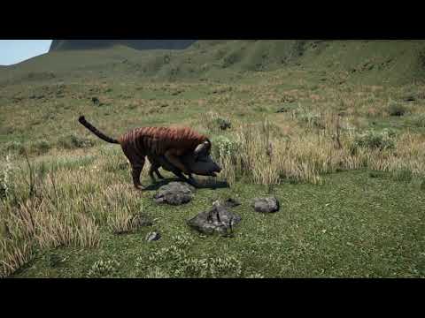 Elgato capture card test