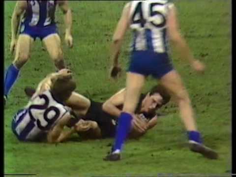1985 V.F.L Marks Of The Year