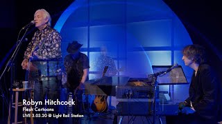 Robyn Hitchcock "Flesh Cartoons" LIVE