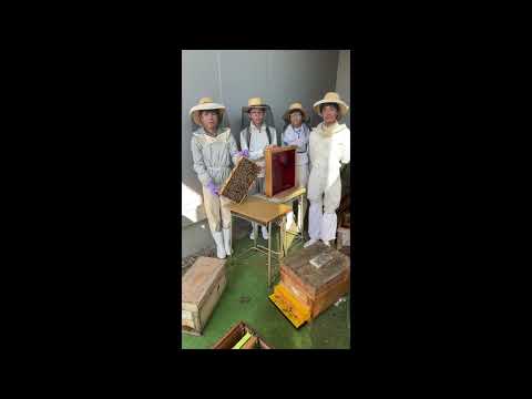 商学科 安田学園