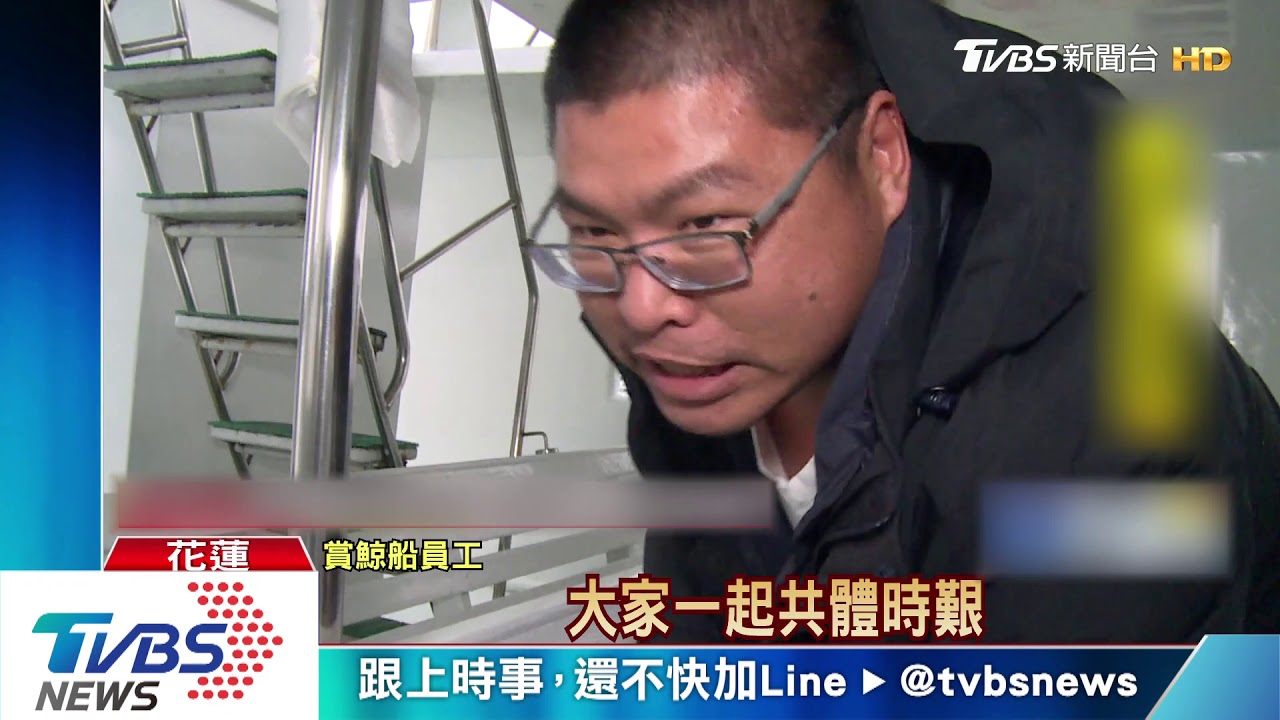 等嘸人!疫情波及觀光 花蓮賞鯨團好冷清
