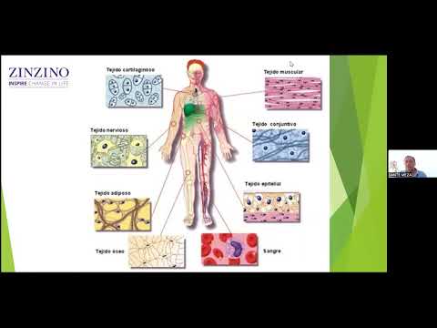 El Omega 3 y las Enfermedades Articulares