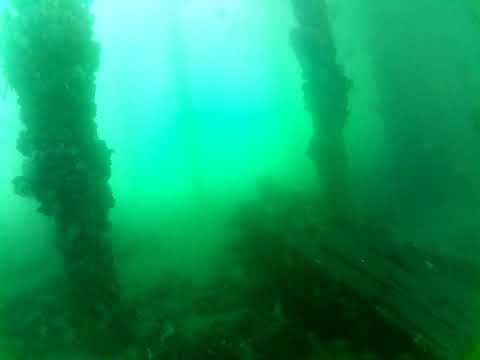 Edithburgh Live by AusOcean 04/03/2023