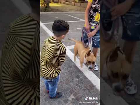 Gaetanino e il cane😂😂