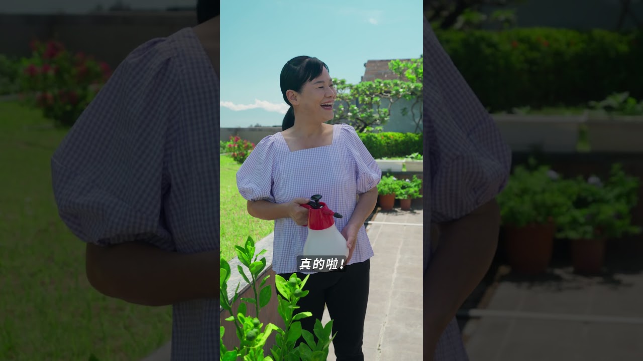 NO.11 綠意無限 : 探索綠屋頂的未來城市