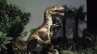 preview picture of video 'abenteuerliches Dinosaurialand in Gouves/ Kreta'