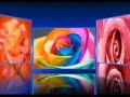 "Te Llegara Una Rosa Cada Dia" Cancion de ...