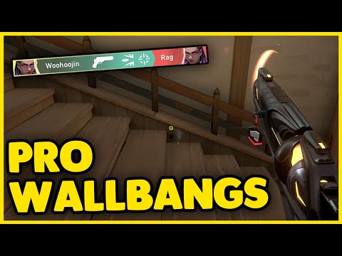 These walls are made of paper