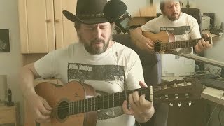 I still can&#39;t believe you&#39;re gone - Willie Nelson cover