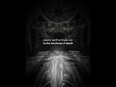 Media Vita ✝️ [slowed & reverb] (Lyric video)