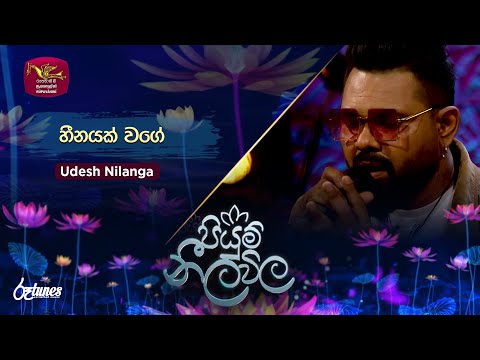 HEENAYAK WAGE | හීනයක් වගේ  |Udesh Nilanga | Piyum Neela Vila | Roo Tunes