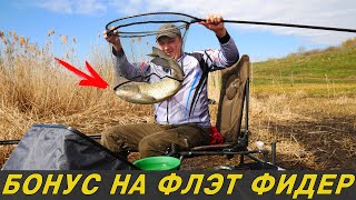 Ловля на фидер владимир николаев