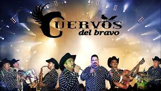 Mata Verde De Limon Los Cuervos del Bravo