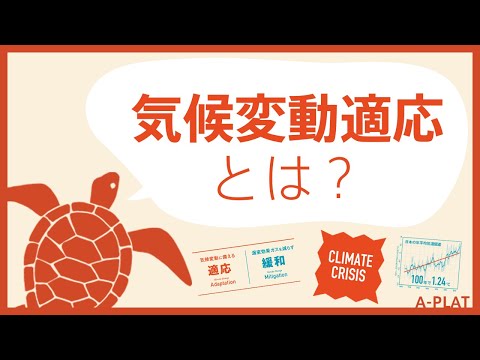 コウモリ:世代間の気候適応