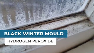 Remove Black Mould From Windows