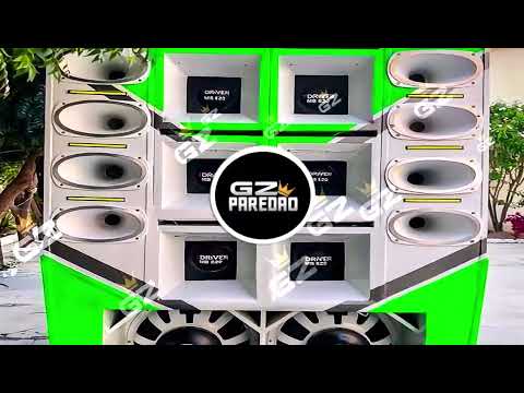 CD FORROZINHO PRA PAREDÃO 2024 NOVO ANAILSON PRODUÇÕES  E DUDU BATIDÃO ALTA QUALIDADE #piseiro