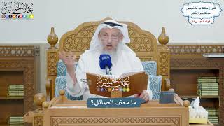 4247 - ما معنى الصائل؟ - عثمان الخميس