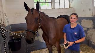 23.08.2025 Berlin Fabienne Margis, 3. Lehrjahr, Ausbildung Pferdewirtin, Fachrichtung Pferderennen