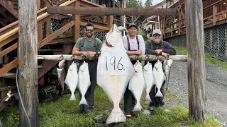 Got An Absolute Monster 200 Lb Halibut!! Day 5 Island Point Lodge 2025