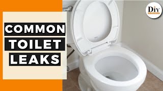 Common Toilet Leaks | How To Find My Toilet Leak | DIY Toilet Repair