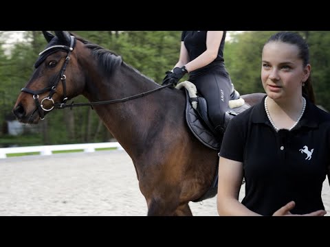 Sportpferd mit Rittigkeitsproblemen wird 3 Tage durchgecheckt - Reiterin stellt sich selbst in Frage