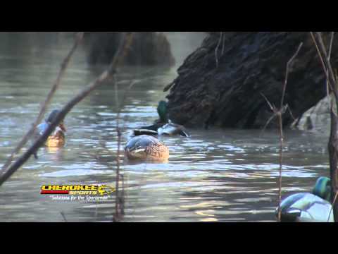 Back Water Mallards - Echo Boys Getin' Er' Done In Style