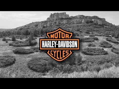 Harley-Davidson Fat Bob