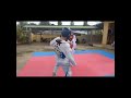 Part 2 Taekwondo Predator Sparing 2022 Bang Juna Shorts