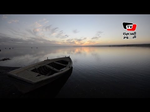 سلسلة «مهن لا يعرفها أحد»| مراقب الطيور