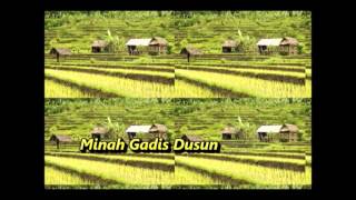 Download lagu Minah Gadis Dusun - Safia Putri Melati. Lagu asal: Titiek Puspa mp3