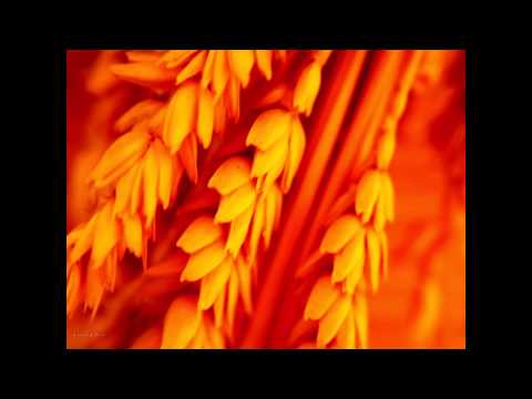 A Cool ft Zaya Unetei.mpg