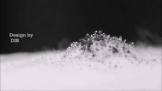 La vidéo de Stories of Z