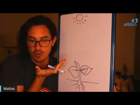 Day 345 Edición en Español - RAMAS - Spanish edit- Matias De Stefano