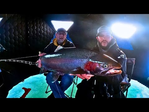 Milwaukee ICE FISHING Steelhead & Brown Trout (Lake Michigan Harbor Jigging)!