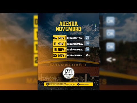 MARA ROSA LEILÕES - GOIÁS - LEILÃO DE GADO DE CORTE 25/11/2025