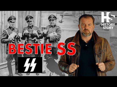 Gross-Rosen i Bestie z SS, niemiecki kacet, który pożerał ciała, umysły i dusze.