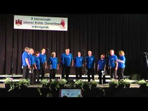 Choir Report: Johannes Brahms Choir Competition Dr. France Preseren (SLO)