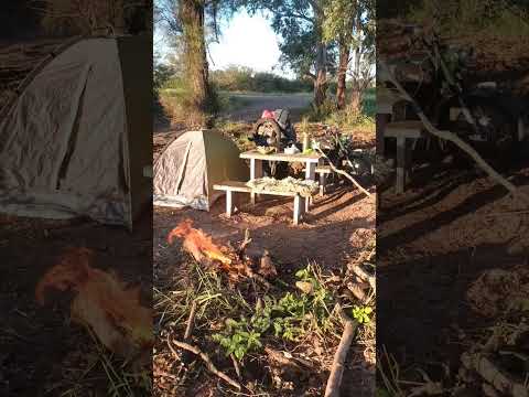 #Día 64 Pampa de los Guanacos Santiago Del estero