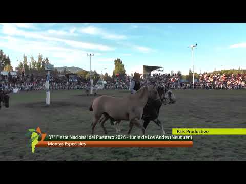 37° Fiesta Nac. del Puestero.Junín de los Andes.Neuquén.Broche de Oro y Montas Especiles Día domingo