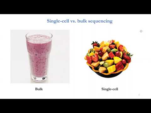 QLS Seminar - Jun Ding - January 11