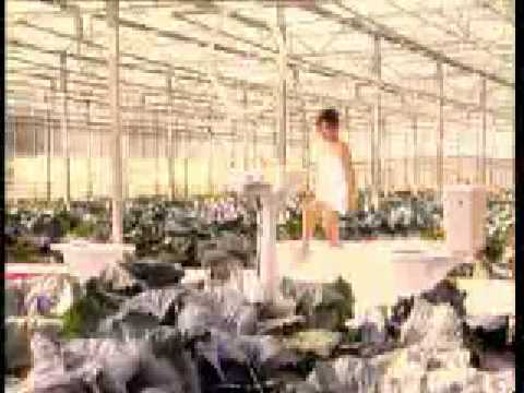 Evridiki - Na me koitas