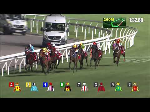 3/11/2021 (145) Zebrowski- Vincent Ho