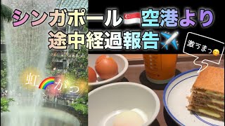 シンガポール空港から生配信(途中経過報告😉)