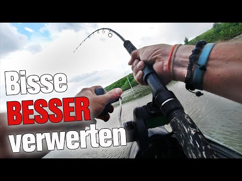 Das solltet ihr beim ANKÖDERN beachten | Pimp my LIVEBAIT