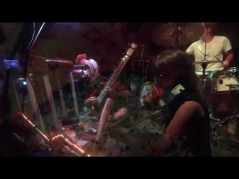 MarvinPickups MPU-1 - Live Pickup / Tonabnehmer für Sitar, Gitarre und Akustikbass u.v.m.