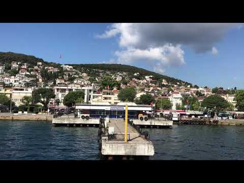 Video by Hulki Okan Tabak from Pixabay Island   44475