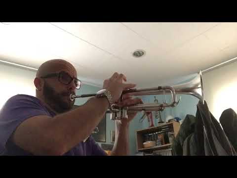 Escuchar, leer y tocar vol.1, Himno real (track 77)- trompeta