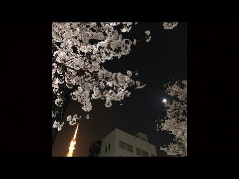 wondagurl x flume type beat - "patoot"